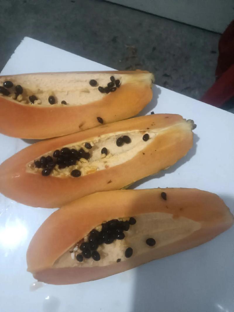 吃了木瓜籽会怎么样?园艺爱好者必知的木瓜籽真相 食用与种植的平衡:科学处理剩余木瓜籽