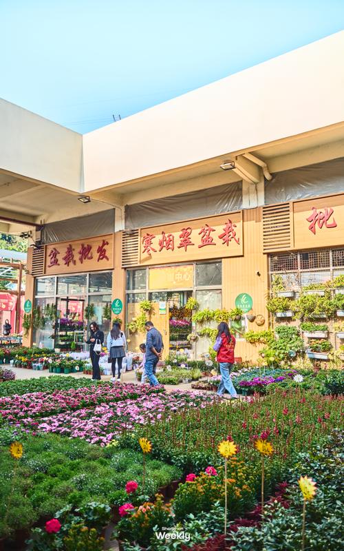龙岗花卉批发市场采购指南:如何科学评估并筛选优质渠道 第六步:售后补苗政策——书面约定剔除非标条款