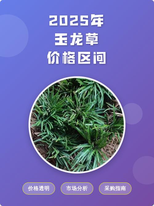杀草机多少钱一台?2025年最新价格区间与影响因素全解析 【影响因素:产地】产地影响品牌溢价和质量
