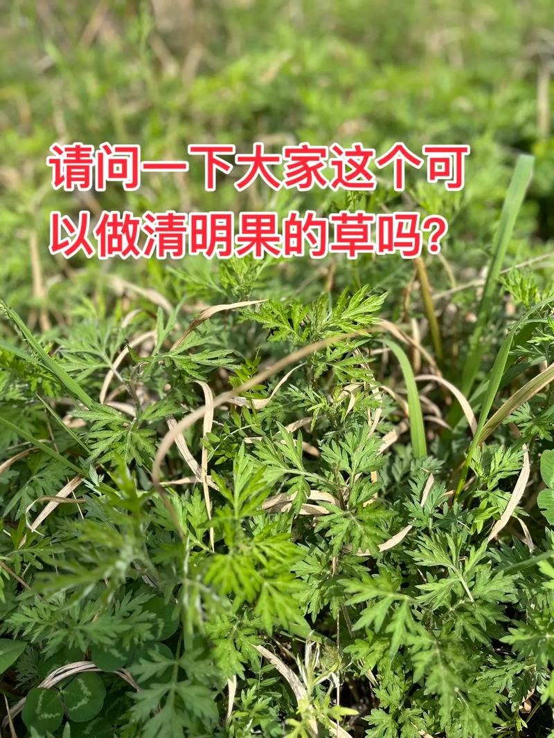 杀草机多少钱一台?2025年最新价格区间与影响因素全解析 综合价格区间表