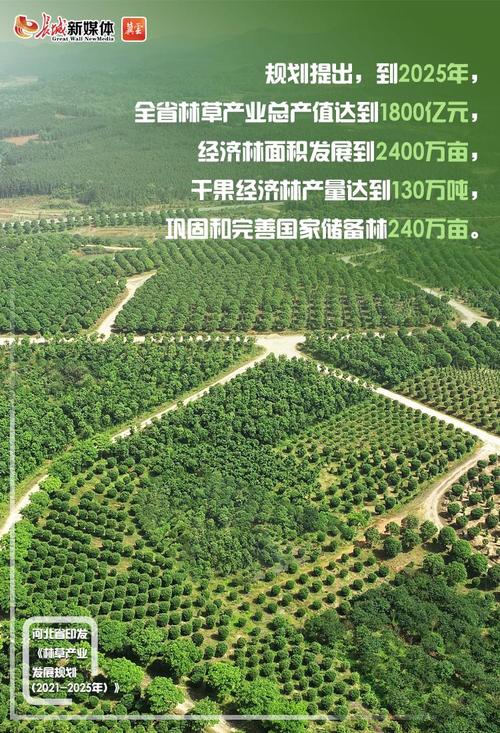杀草机多少钱一台?2025年最新价格区间与影响因素全解析 咨询指南:如何获取精准报价?