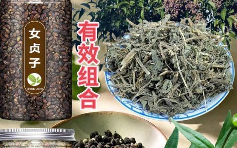 女贞子的作用与功效：滋补肝肾的常见中药材