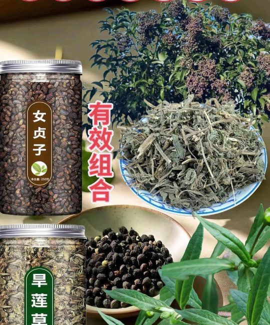 女贞子的作用与功效：滋补肝肾的常见中药材