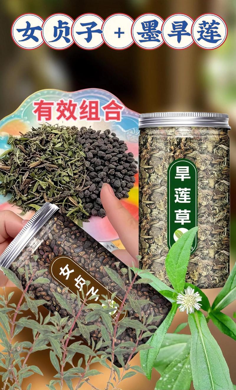 女贞子的食用方法（食用常识）
