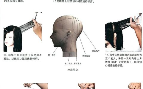 家庭园艺修剪指南：从基础到进阶的养护全攻略