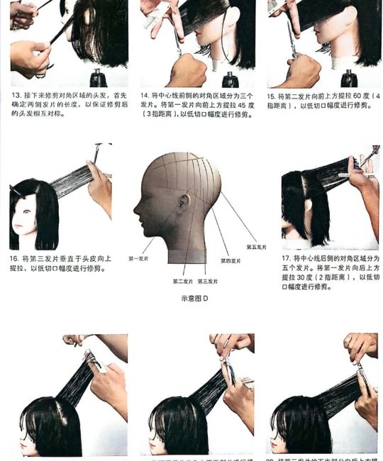 家庭园艺修剪指南：从基础到进阶的养护全攻略