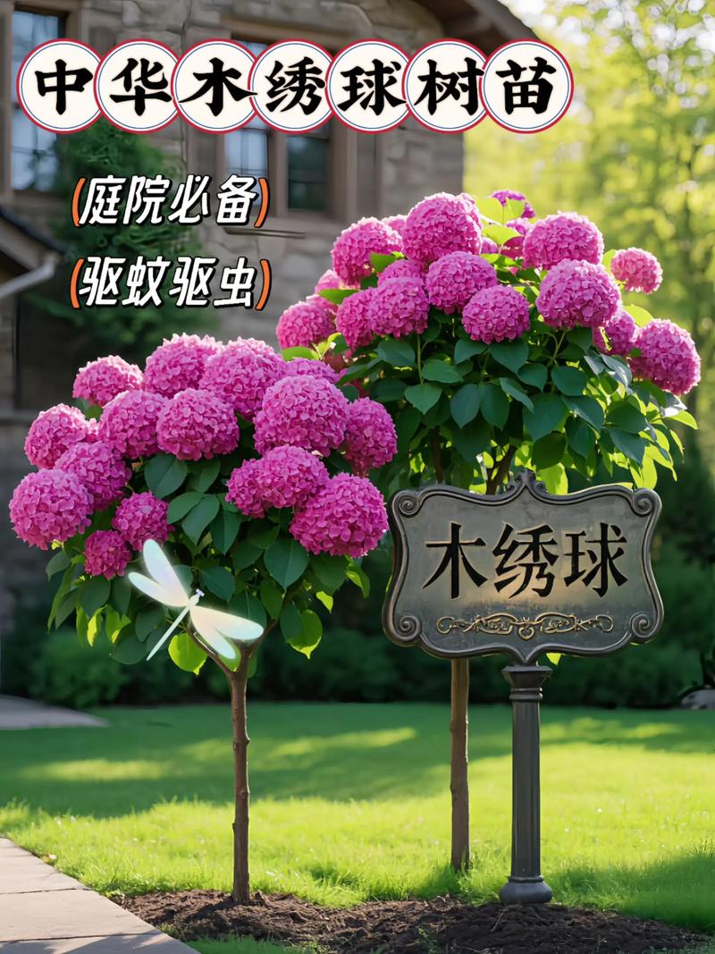 木绣球花树多少钱一棵?2024年价格参考与影响因素分析 咨询指南:如何获取精准报价?