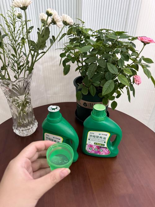 水培花用什么营养液?2026年家庭园艺通用配方与使用指南 水培花用什么营养液?2026年家庭园艺通用配方与使用指南