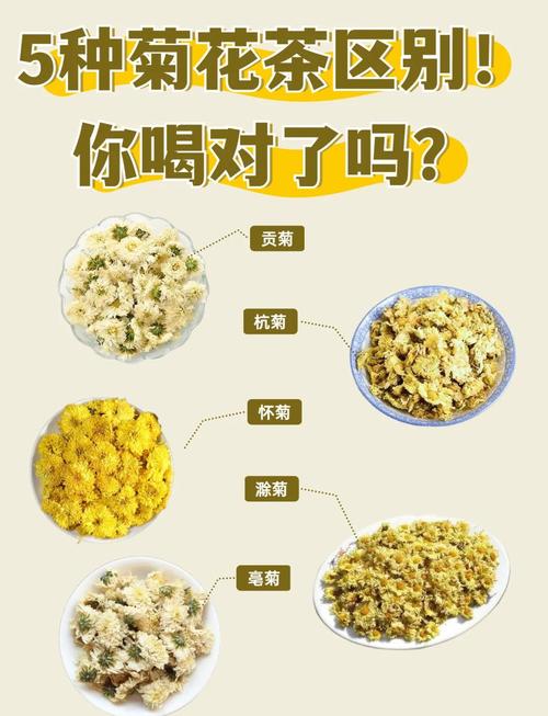 咨询指南