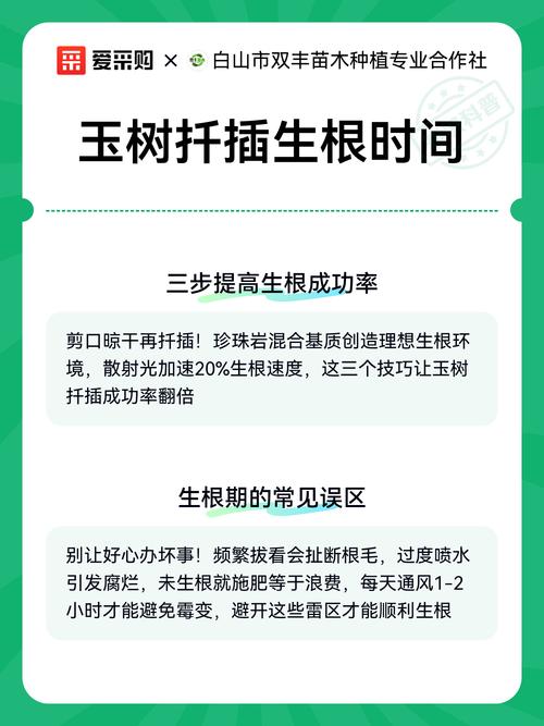 玉树插枝多久能生根？水培土培生根时间与养护全攻略