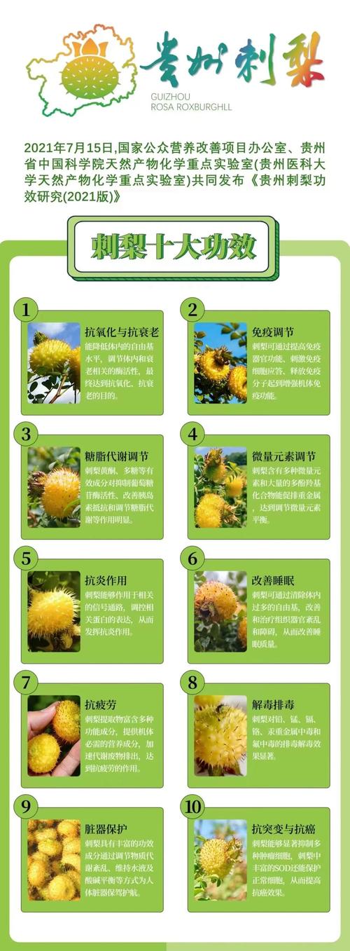 刺梨种子多少钱一斤?2025年市场价格与五大影响因素解析 规格因素:种子净度与发芽率决定价格基础