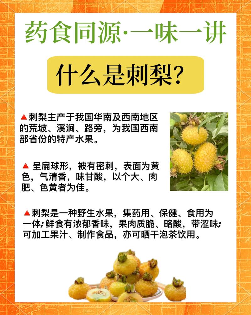 刺梨种子多少钱一斤?2025年市场价格与五大影响因素解析 数量因素:零售按两买,批发按袋议价