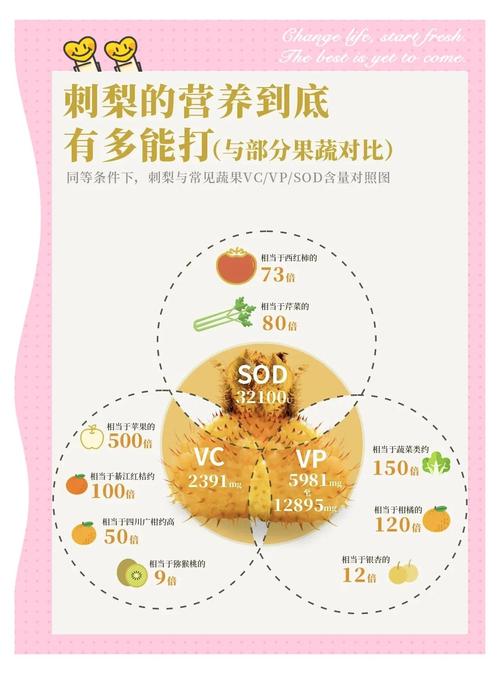 刺梨种子多少钱一斤?2025年市场价格与五大影响因素解析 常见问题(FAQ)