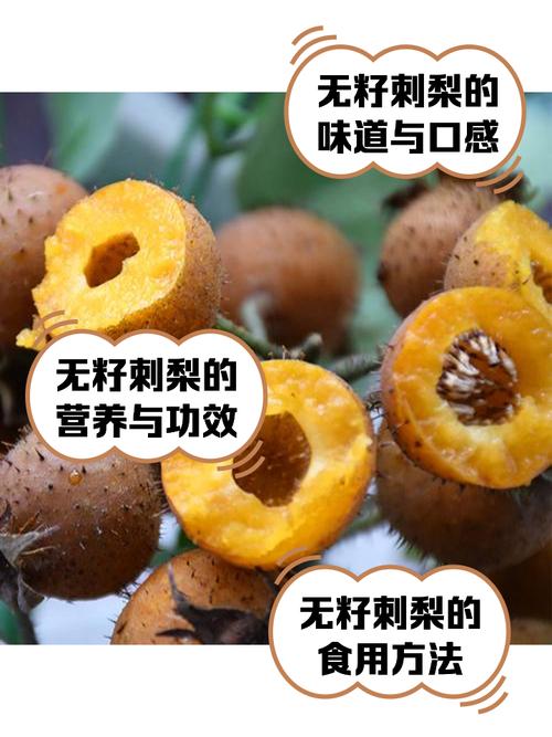 刺梨种子多少钱一斤?2025年市场价格与五大影响因素解析 询价指南:按场景选择报价方式