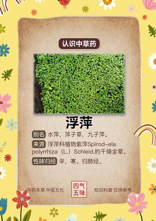 苦草别名叫什么?沉水植物中的“水底精灵”全解析 园林用途:水质净化与景观营造的双重担当
