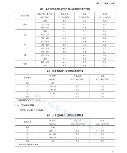 玉米怎么施肥？科学施肥方法与田间管理全攻略