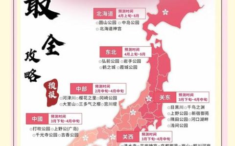可以触碰你的樱花深处吗？——樱花园艺深度探索与养护指南