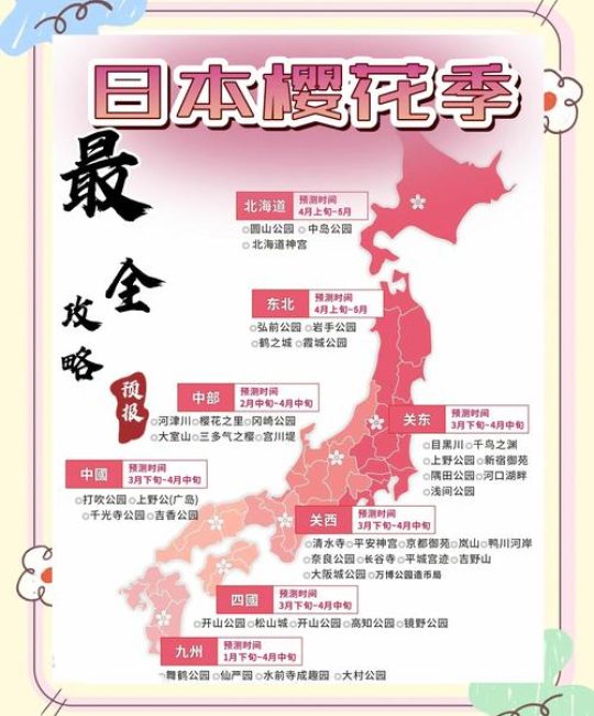 可以触碰你的樱花深处吗？——樱花园艺深度探索与养护指南