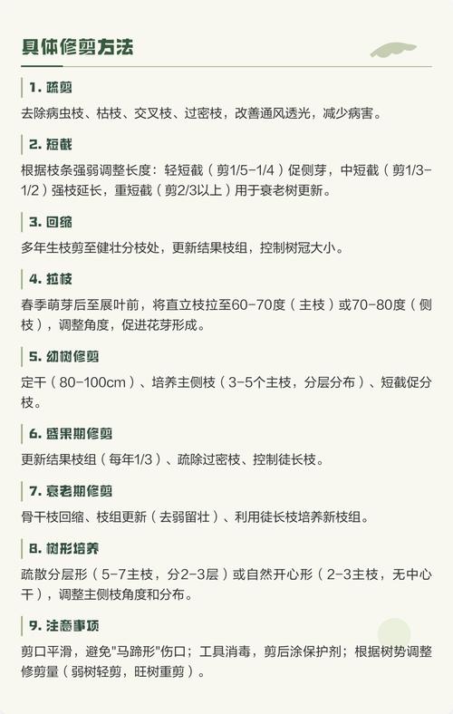 光照：核桃树喜欢全日照，光照不足会影响结果和枝条充实