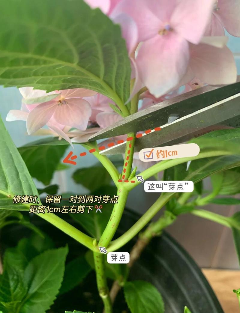 总结