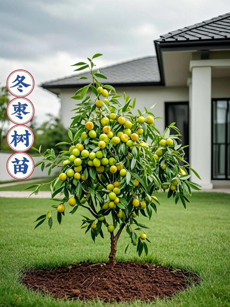 冬天可以嫁接什么果树?冬季嫁接技术全攻略 四、南北地域差异化建议