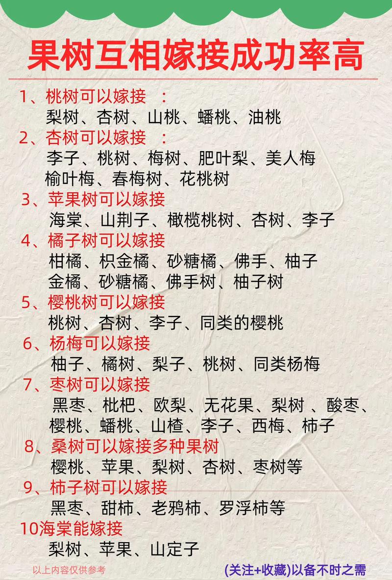 冬天可以嫁接什么果树?冬季嫁接技术全攻略 五、注意事项与常见错误