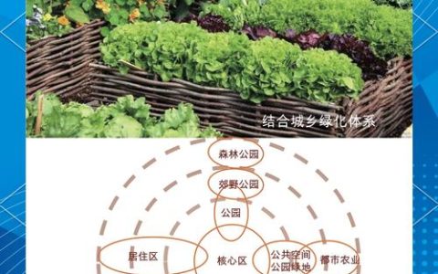 绿色植物是生产者吗？从园艺视角解读生态角色