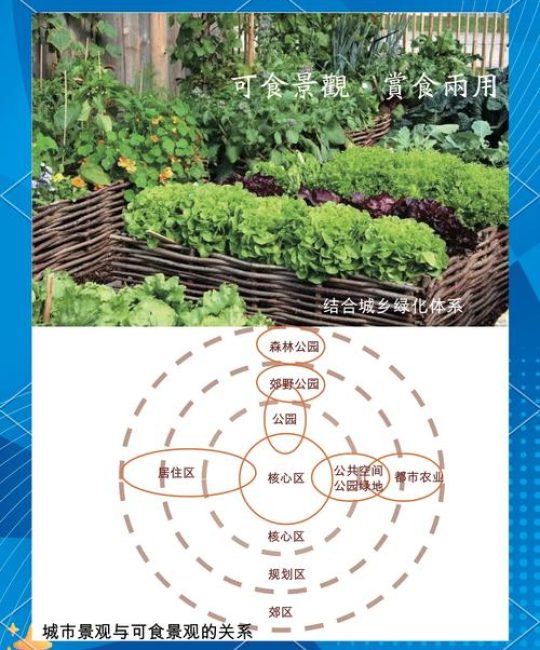 绿色植物是生产者吗？从园艺视角解读生态角色