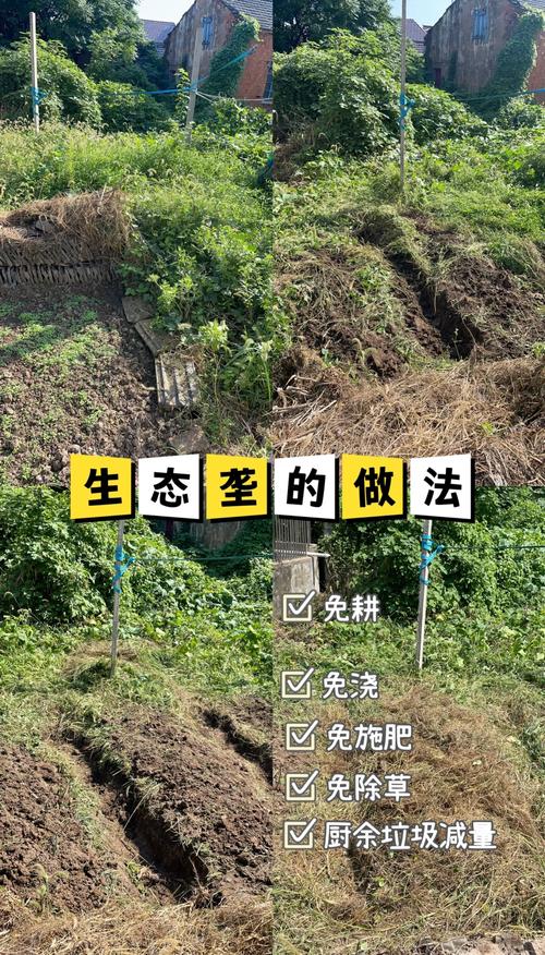 绿色植物是生产者吗?从园艺视角解读生态角色 五、结语:从“生产者”到“可持续园艺”