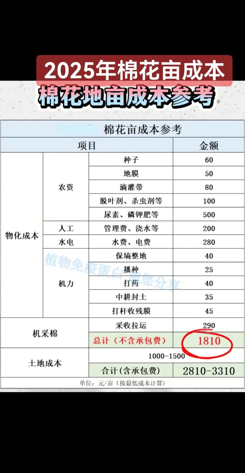 规格因素（等级与加工）