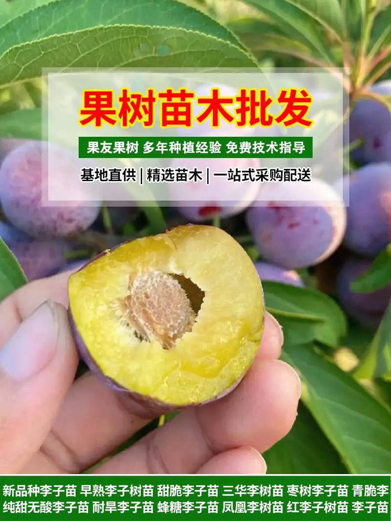 数量：批发价可比零售价低25%-40%