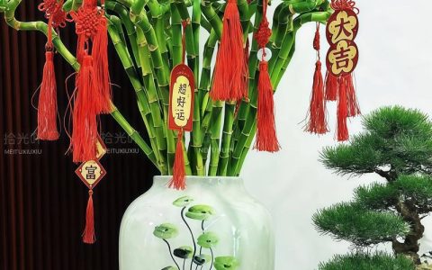 属鼠的朋友，家里养这3种植物，既好看又寓意好（科学养护指南）