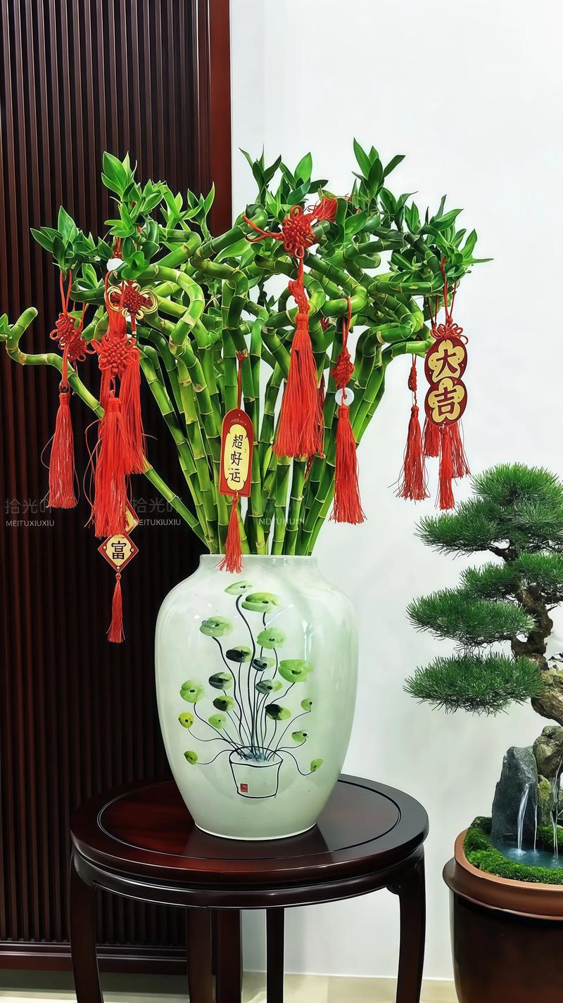 属鼠的朋友，家里养这3种植物，既好看又寓意好（科学养护指南）