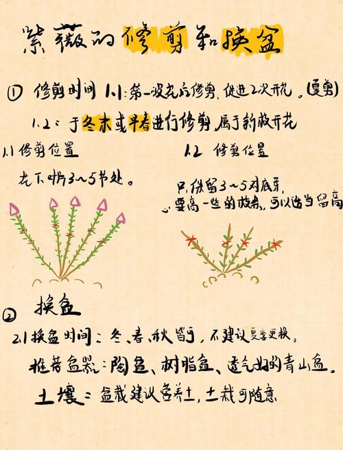 常见问题（FAQ）