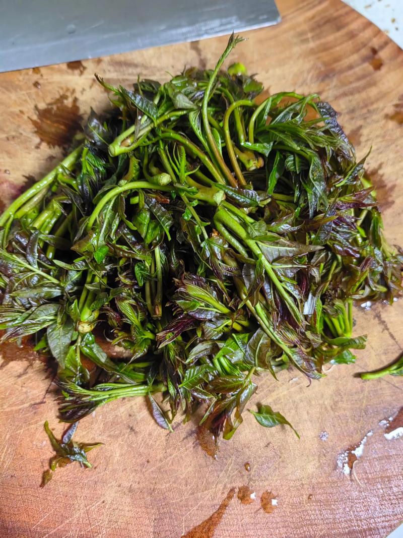 香椿苗怎么吃好吃又简单?3种家常做法及焯水技巧 香椿苗怎么吃好吃又简单?3种家常做法及焯水技巧