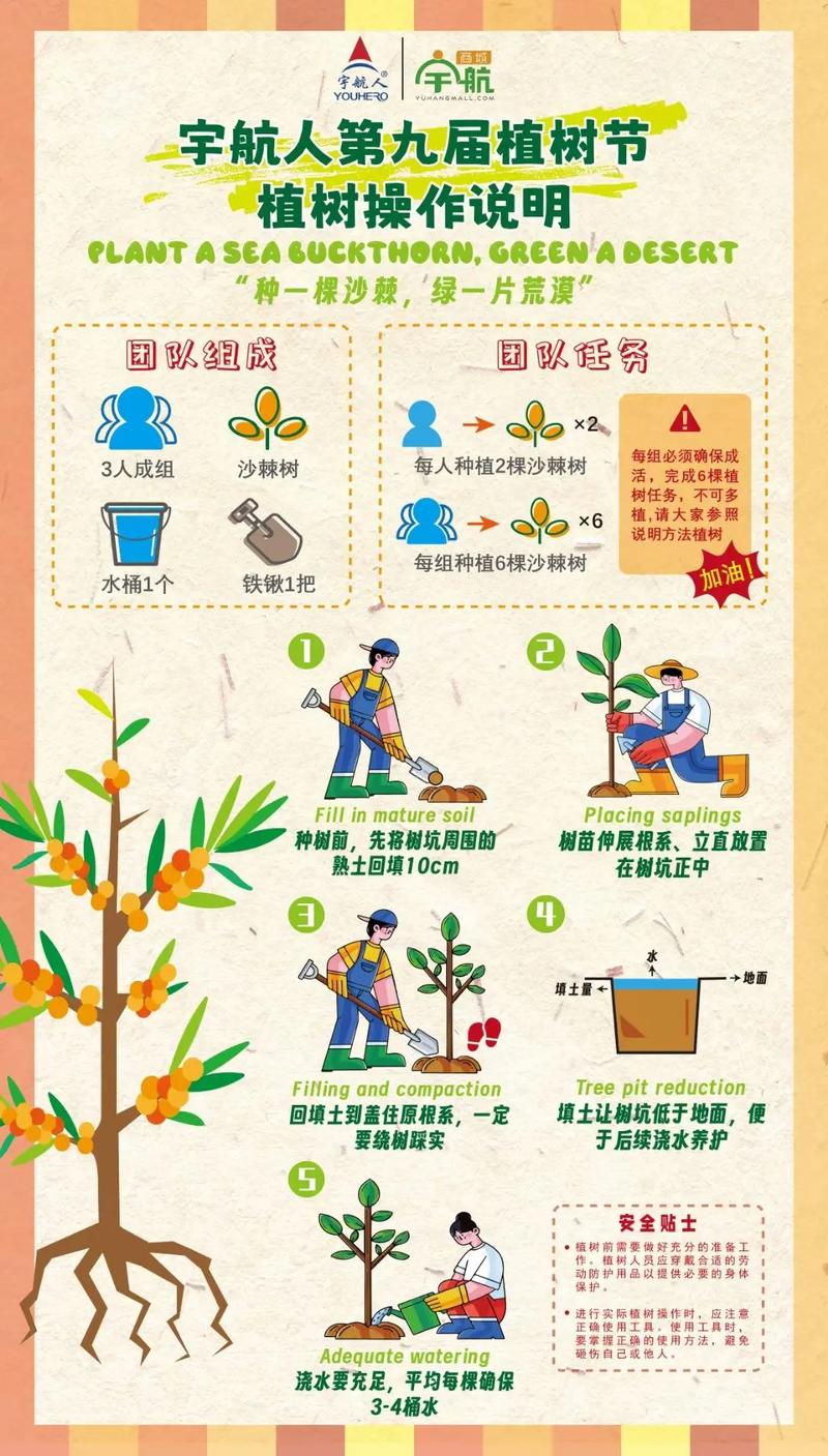哪里有绿化苗木?科学寻找优质苗源的五个步骤 第四步:运输、装车与检疫文件核对