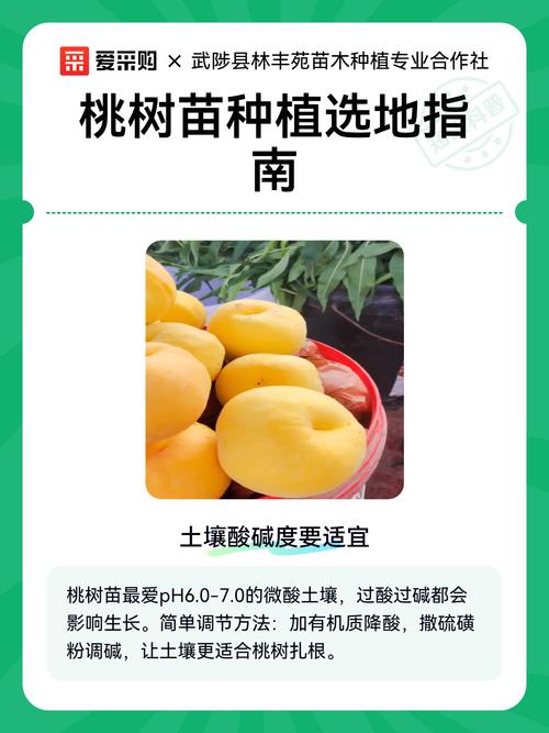 二、土壤环境：沙壤土最理想，pH值6.0-7.0