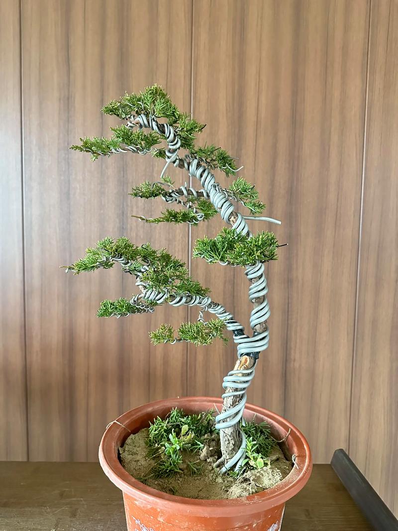 四、节日装饰与生活灵感