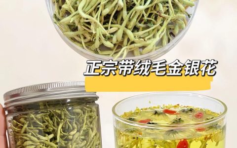 金银花和连翘可以一起泡水喝吗？功效、禁忌与正确饮用指南