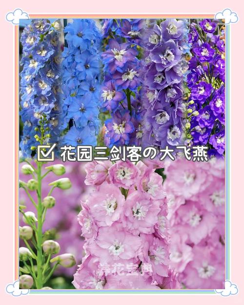 花草可以带上飞机吗?航空旅行携带植物全攻略 二、国际航班:检疫是最大门槛