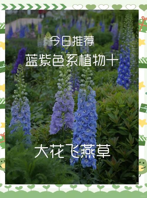花草可以带上飞机吗?航空旅行携带植物全攻略 五、注意事项与常见问题