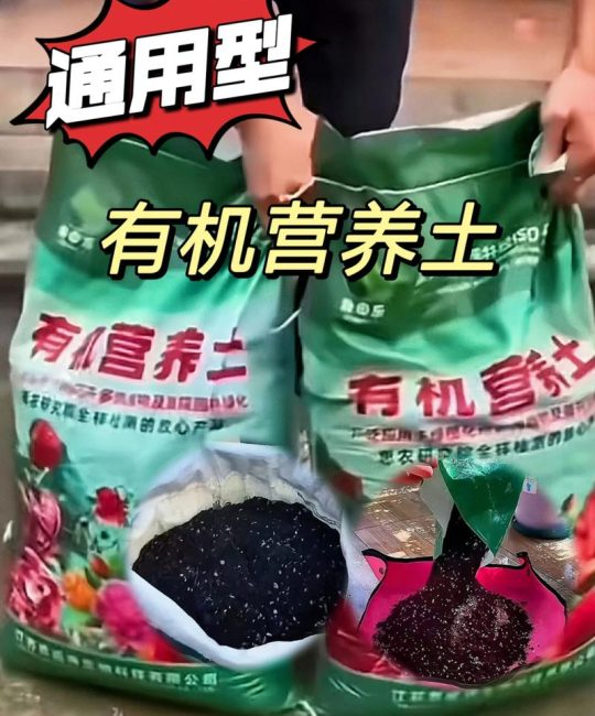 育苗营养土多少钱一袋？2025年价格区间与五大影响因素全解析