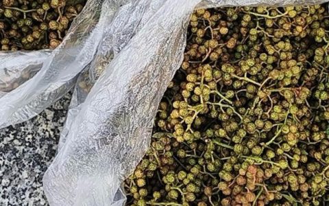 最贵的花椒多少钱一斤？2025年价格快速参考与影响因素解析