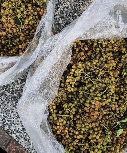 最贵的花椒多少钱一斤？2025年价格快速参考与影响因素解析