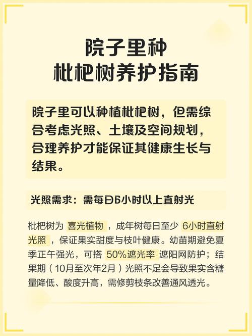 枇杷树栽在门前好吗?科学选种与养护指南 采购苗木必须遵循“一看嫁接口、二看根系、三看苗龄”黄金顺序