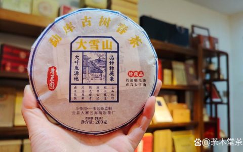 高山古树茶属于什么茶？全面解析这种珍稀茶树的百科知识