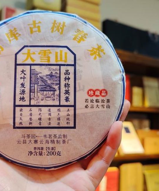 高山古树茶属于什么茶？全面解析这种珍稀茶树的百科知识