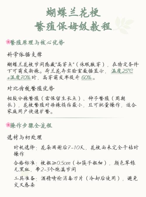 如何用蝴蝶兰花梗扦插繁殖?技术专家手把手教你提高成活率 操作流程与关键节点控制