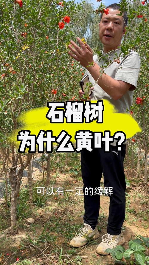 常见原因列表