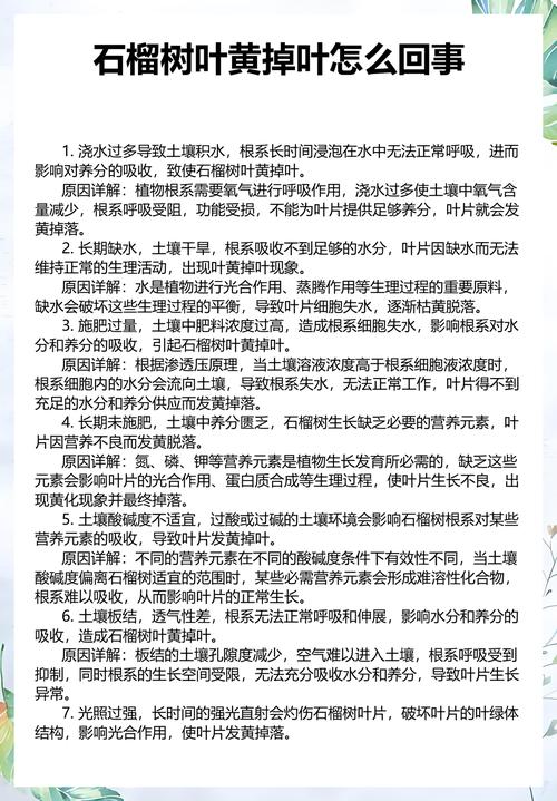 分步排查清单（请按顺序执行）